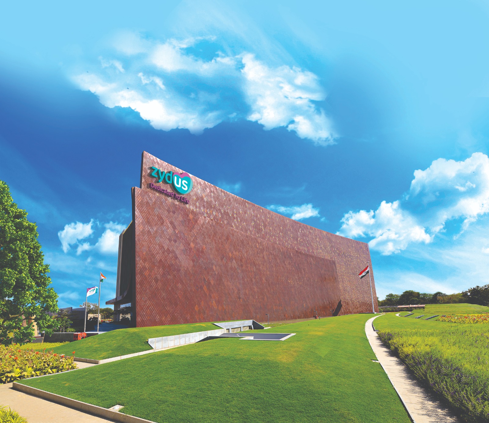 Zydus (1)